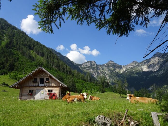 Laudereralm Ebensee