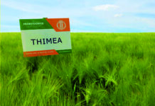 KWS Tolanis und Thimea starten voll durch