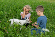 Abenteuerurlaub am Bauernhof