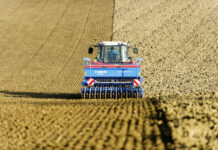 Die Qual der Wahl: Passende Gersten-, Roggen- und Triticalesorten