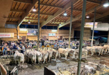 Klare Worte zur Absicherung der Landwirtschaft