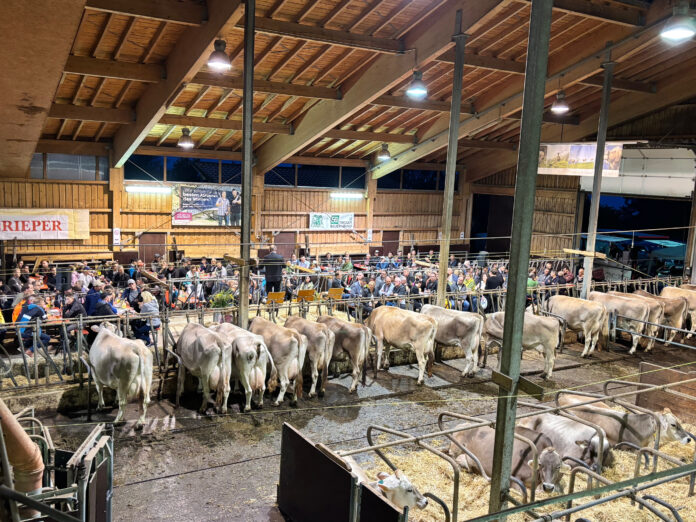 Sommergesprach Wolflhof3